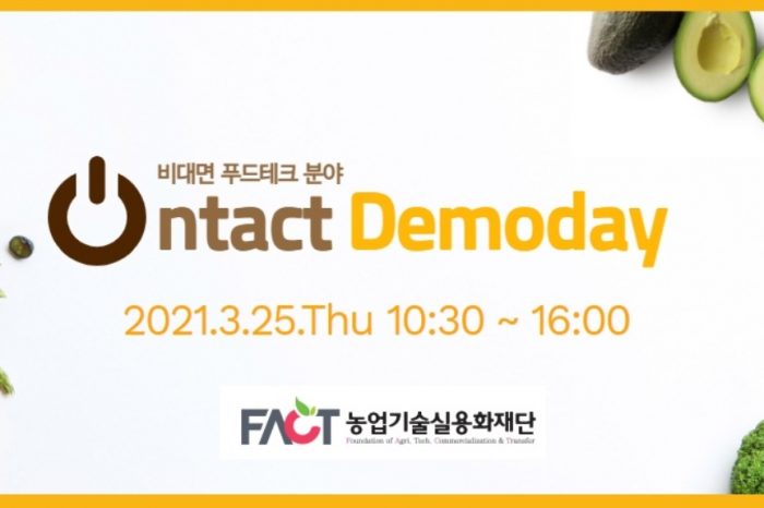 온택트 데모데이 (Ontact Demoday)